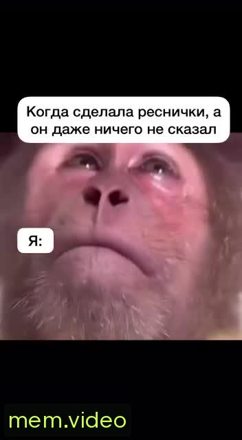 Кадр на 0:05