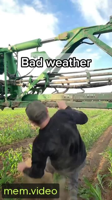 Кадр на 0:04