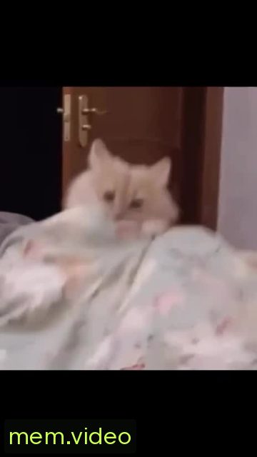 Кадр на 0:01