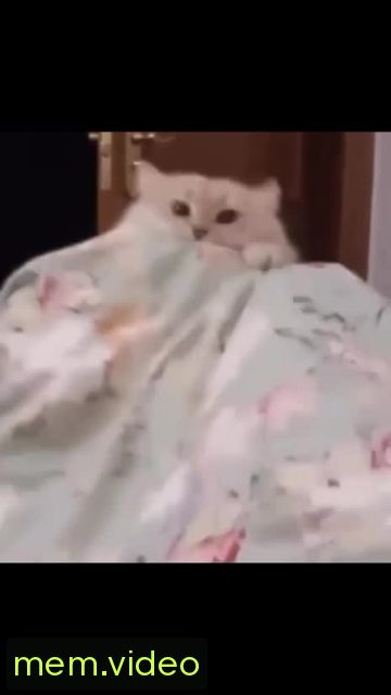 Кадр на 0:01