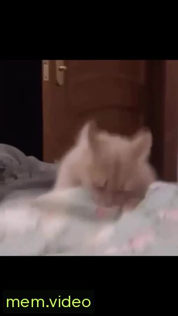 Кадр на 0:02