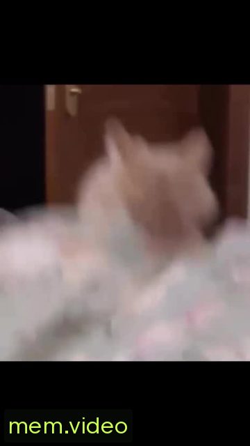 Кадр на 0:03