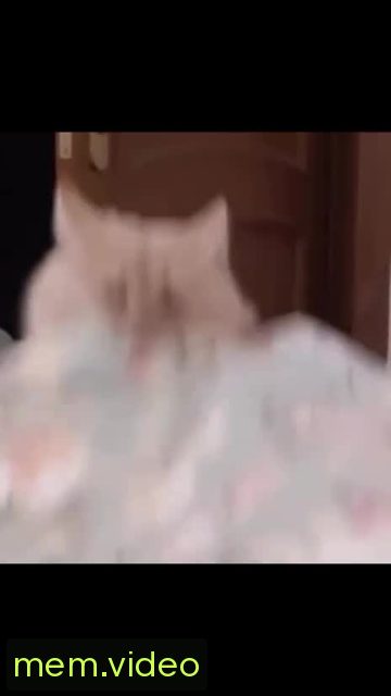 Кадр на 0:04