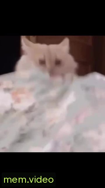 Кадр на 0:04