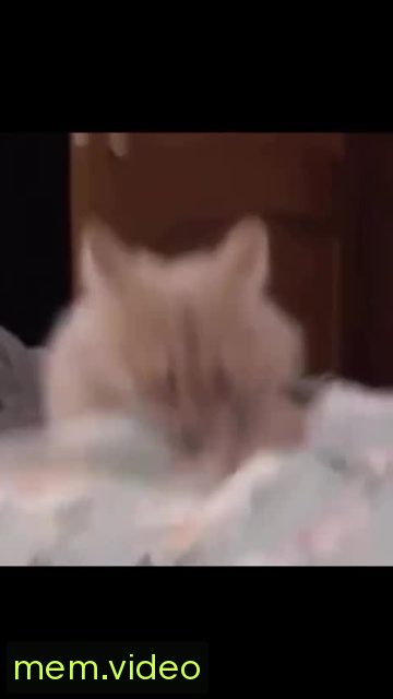 Кадр на 0:05