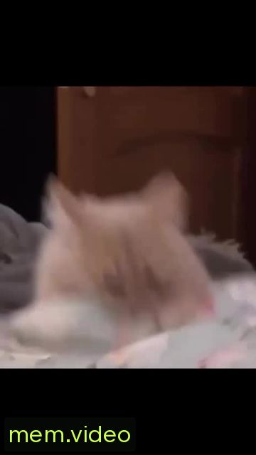 Кадр на 0:05