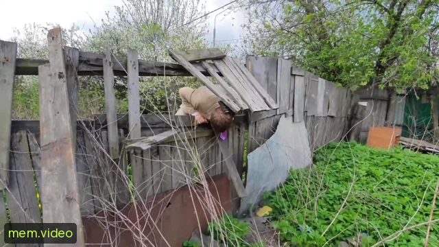 Кадр на 0:00