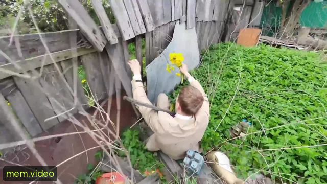 Кадр на 0:10