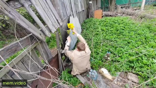 Кадр на 0:19