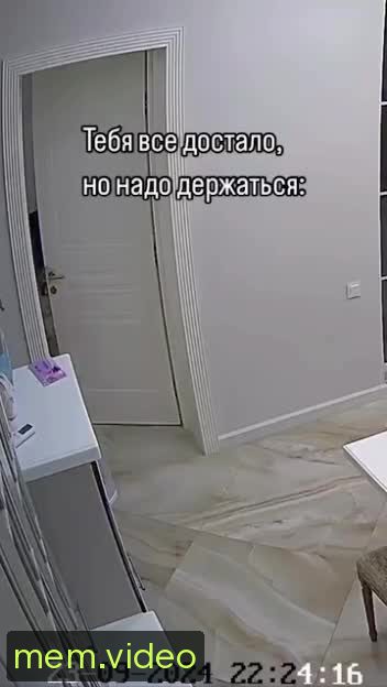 Кадр на 0:00