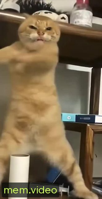 Кадр на 0:00