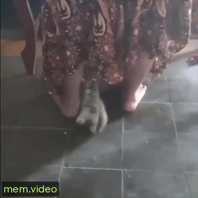 Кадр на 0:02