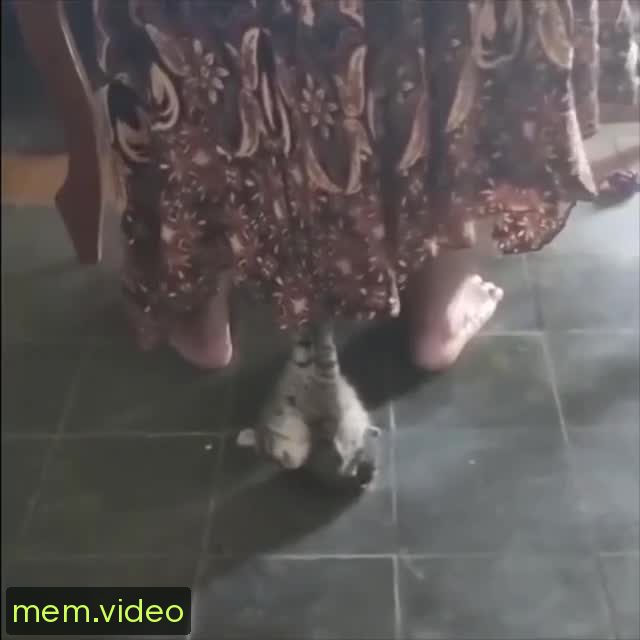 Кадр на 0:26
