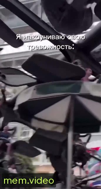 Кадр на 0:08