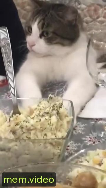 Кадр на 0:05