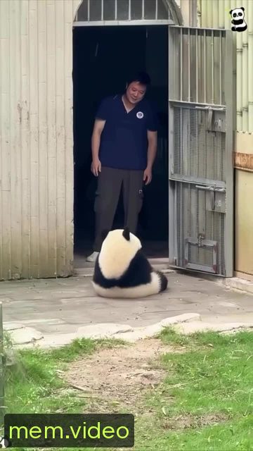Кадр на 0:00