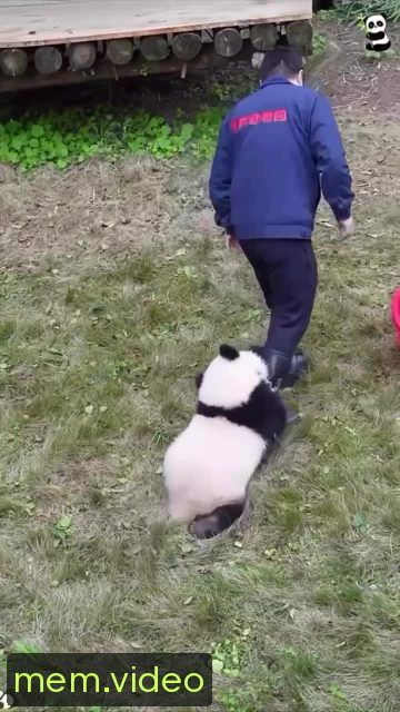Кадр на 0:13