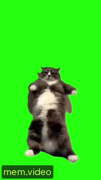 Кадр на 0:00