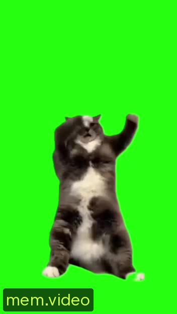 Кадр на 0:01