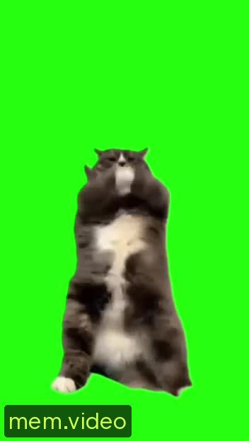 Кадр на 0:02