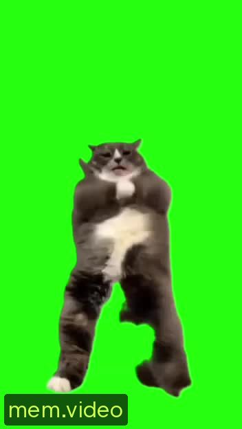 Кадр на 0:02