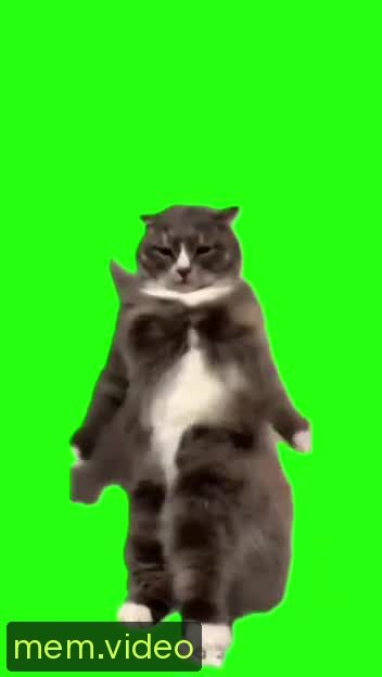 Кадр на 0:03