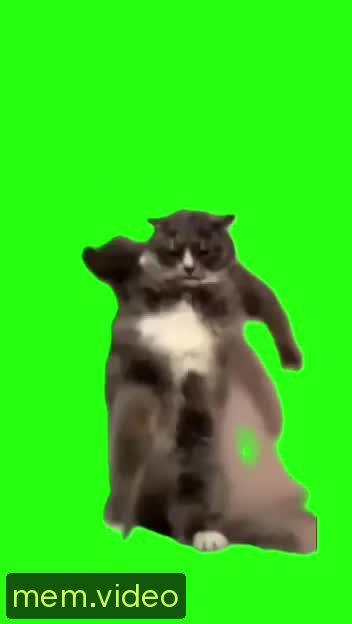 Кадр на 0:05