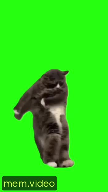 Кадр на 0:05