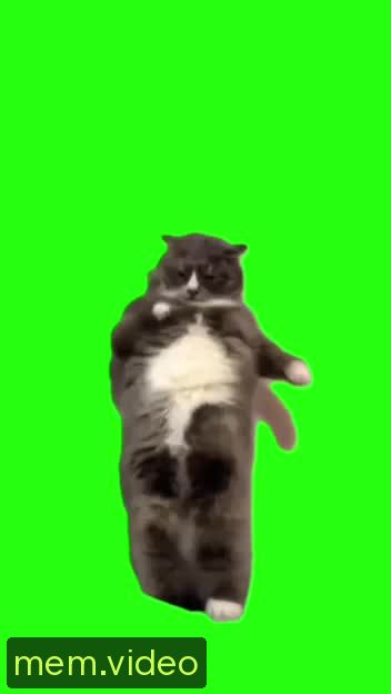 Кадр на 0:07