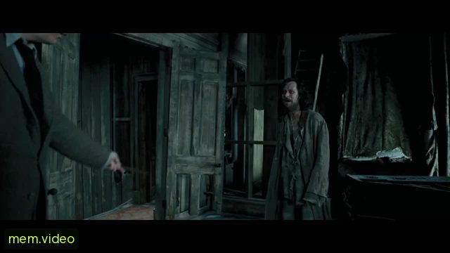 Кадр на 0:00