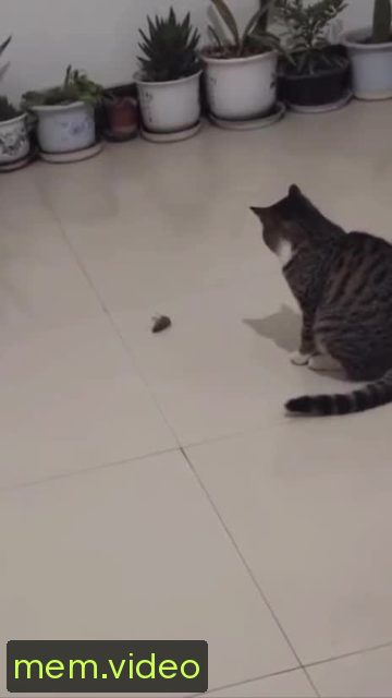 Кадр на 0:02