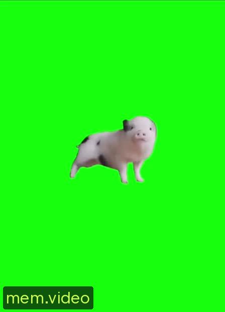 Кадр на 0:01