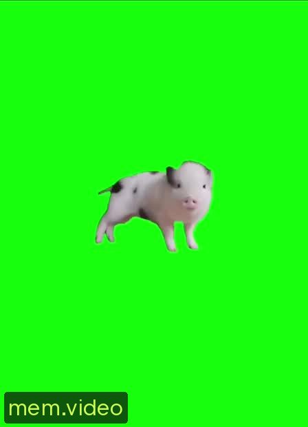 Кадр на 0:02