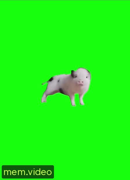 Кадр на 0:02