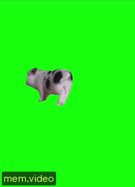 Кадр на 0:03