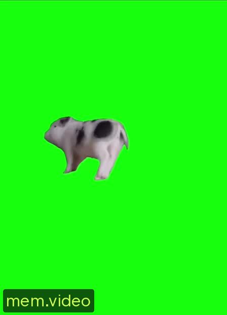 Кадр на 0:04