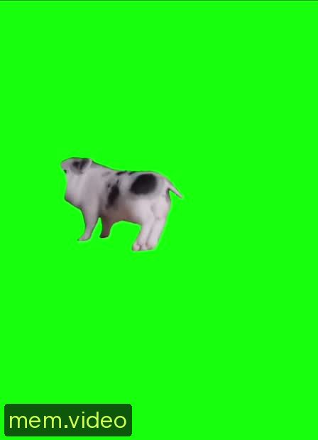 Кадр на 0:05
