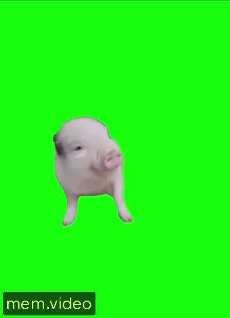Кадр на 0:06