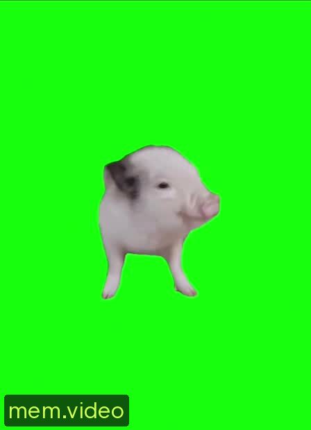 Кадр на 0:07