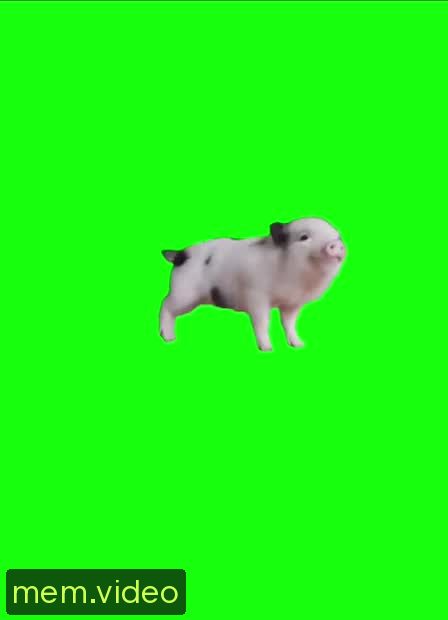 Кадр на 0:10