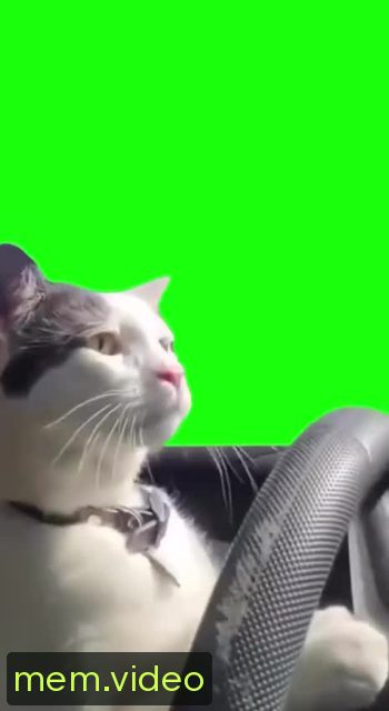 Кадр на 0:00