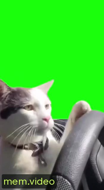 Кадр на 0:00