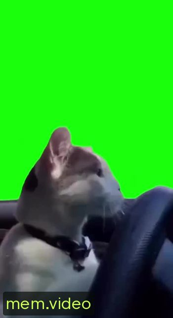 Кадр на 0:01