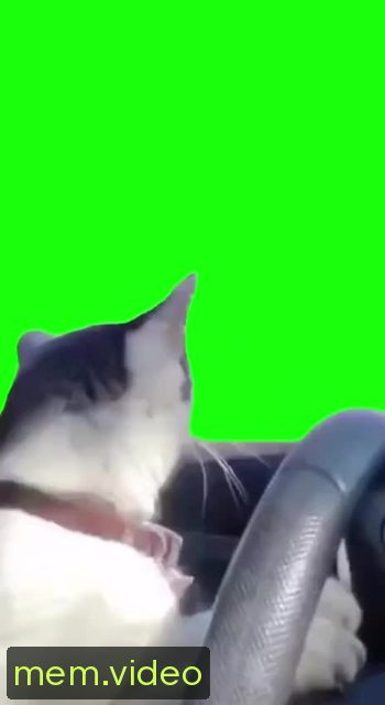 Кадр на 0:02