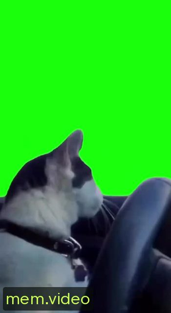 Кадр на 0:02