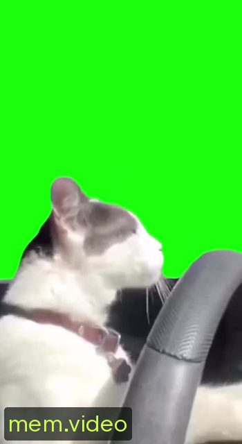 Кадр на 0:03