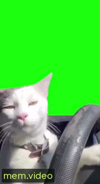 Кадр на 0:05