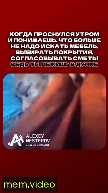 Кадр на 0:06
