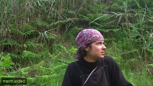 Кадр на 0:04