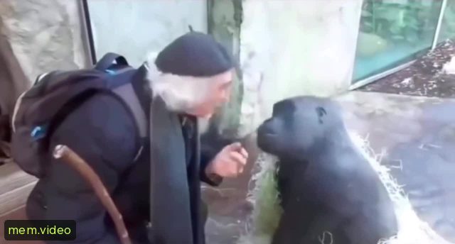 Кадр на 0:01